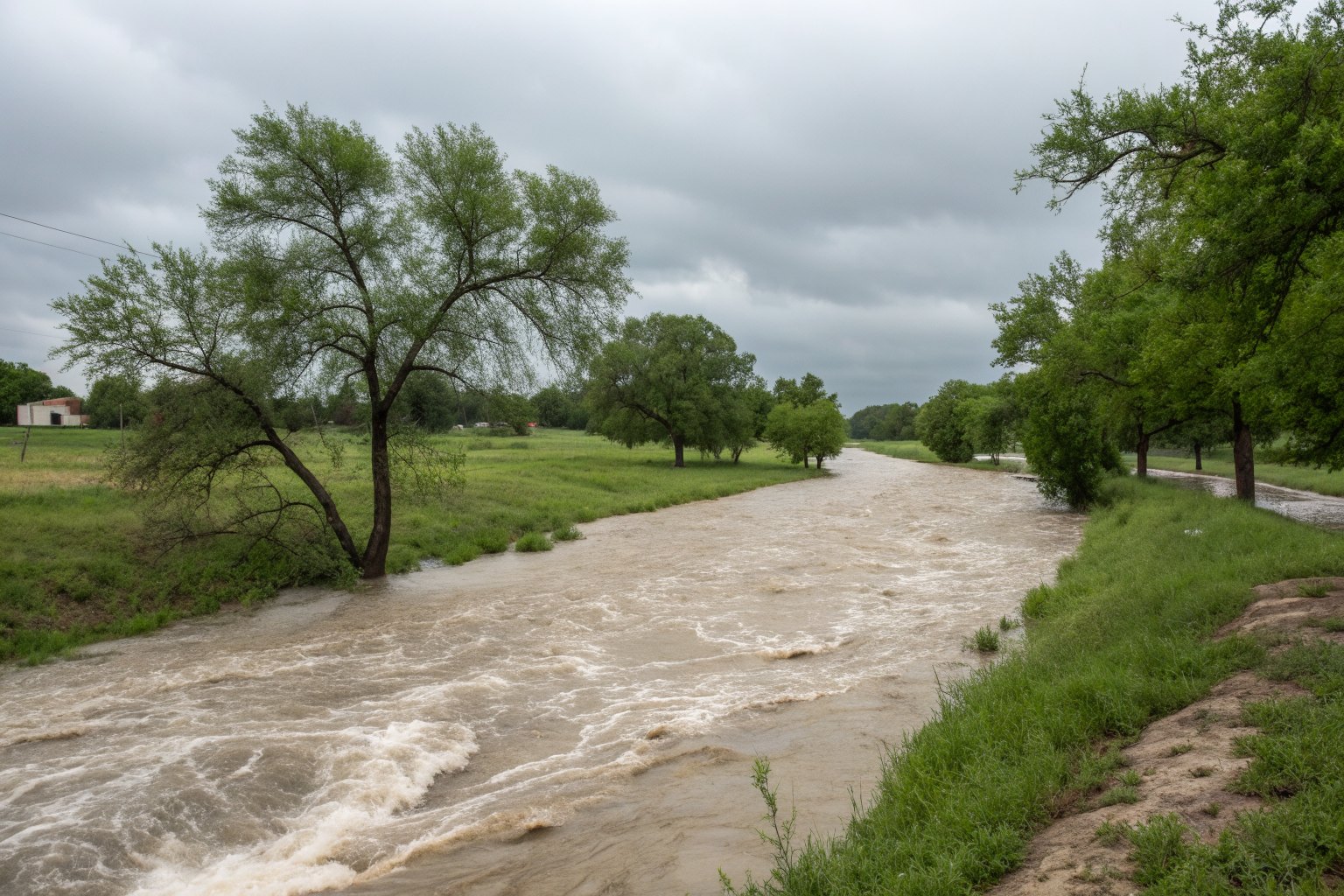 Muddy creek running high between grassy banks